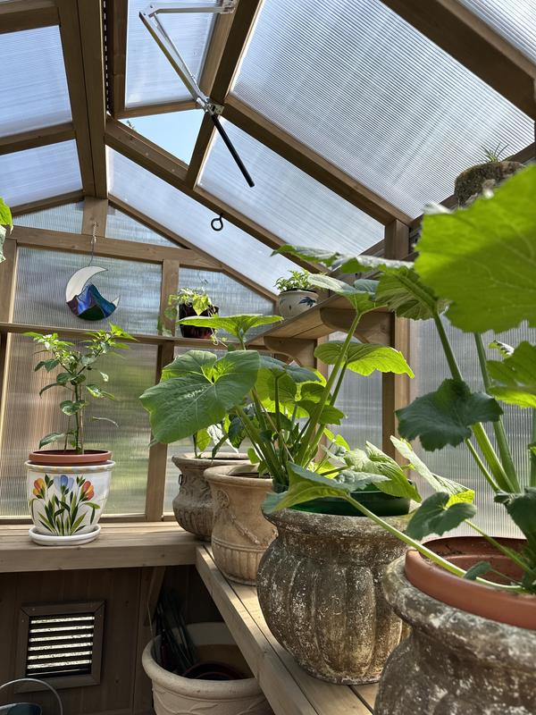 6.7 x 7.8 Greenhouse