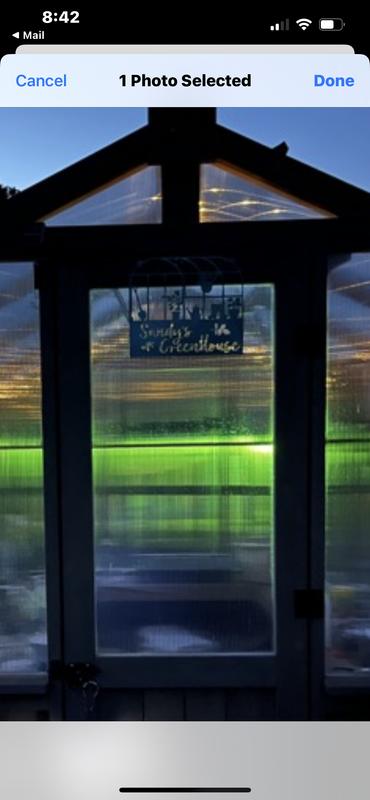 Welcome to our greenhouse.