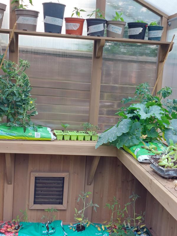 6.7x7.8 Cedar Garden Greenhouse | Yardistry