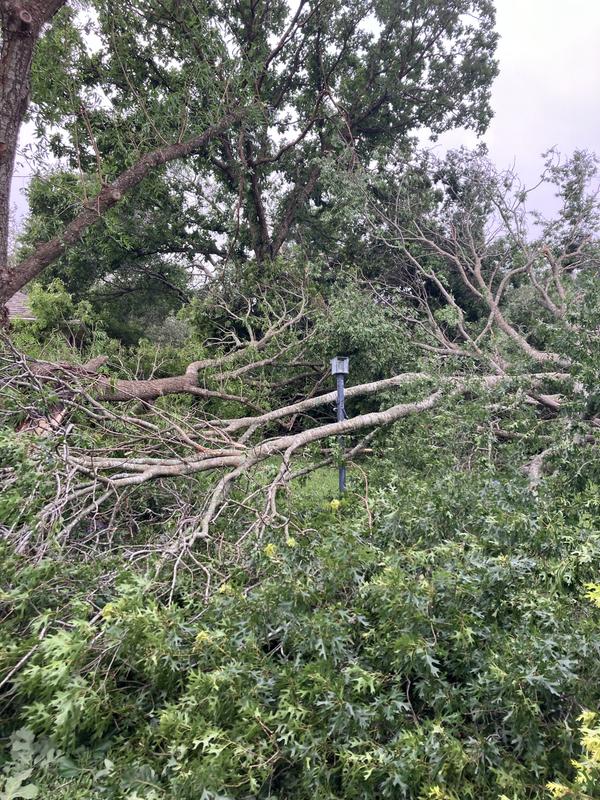 Should call it Timex