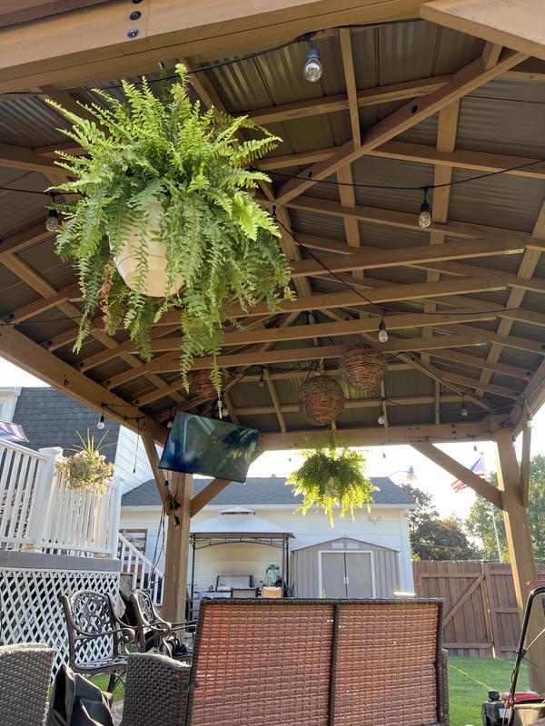 Great way to enjoy summer