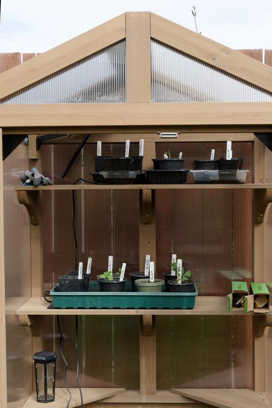 Urban Greenhouse