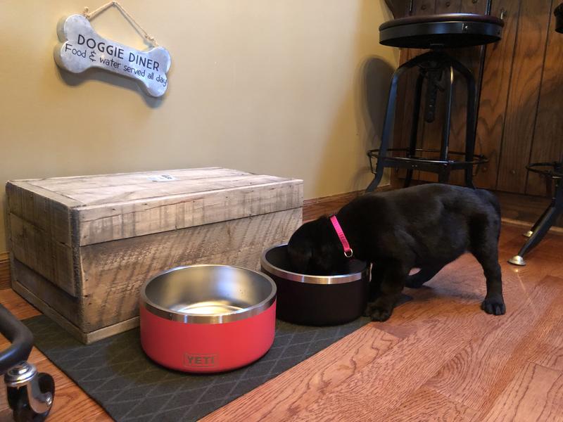 Expert Review: YETI Boomer 8 Dog Bowl