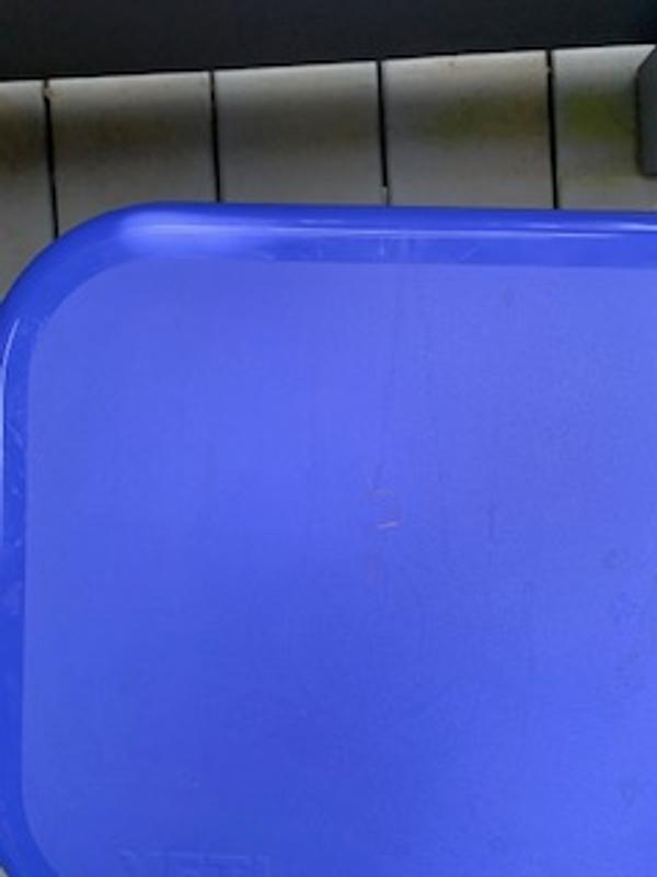 Photo submitted with review of product