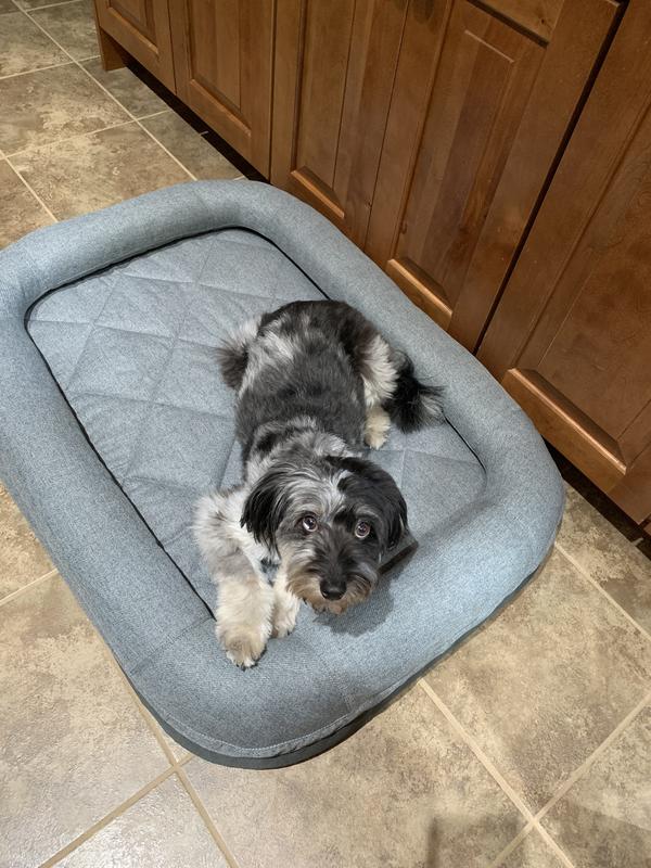 Yeti Trailhead Dog Bed Review