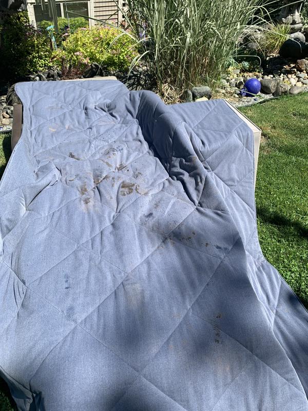Photo submitted with review of product
