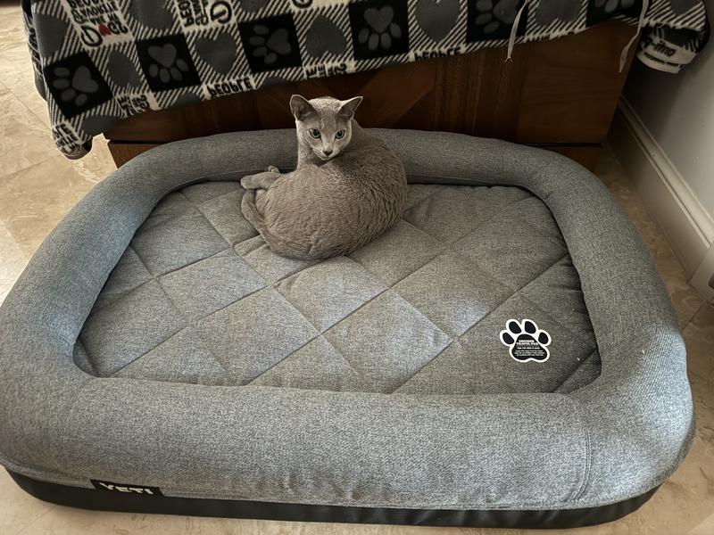 YETI Charcoal Polyester Rectangular Dog Bed For Any in the Pet Beds department at Lowes