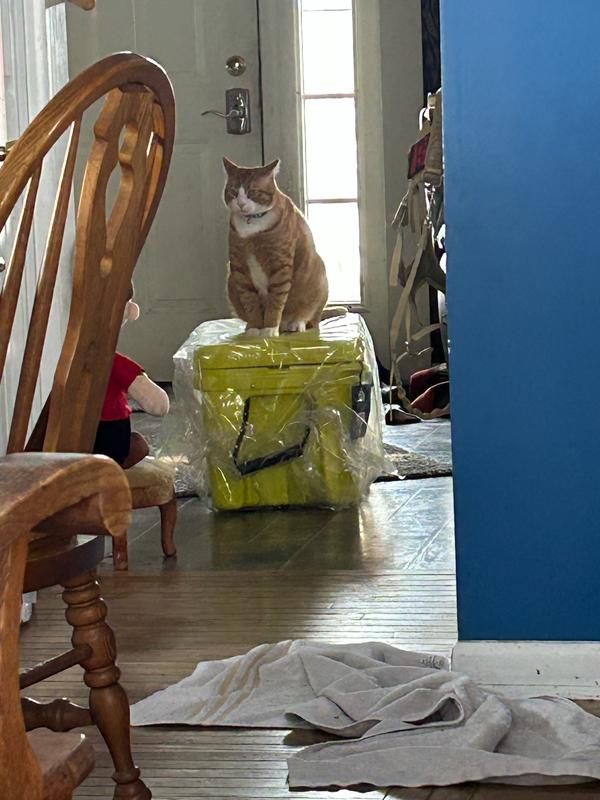 Photo submitted with review of product