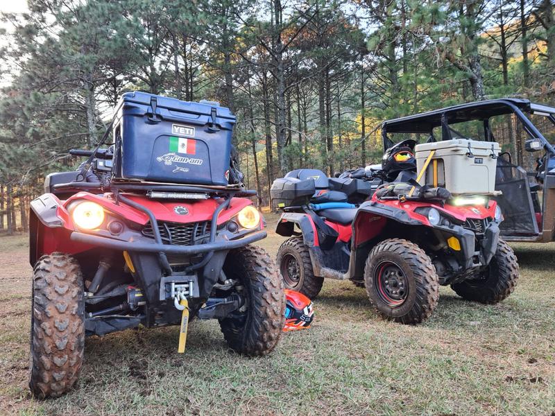 Yeti Chartreuse Tundra 35 for Sale in Avondale, AZ - OfferUp