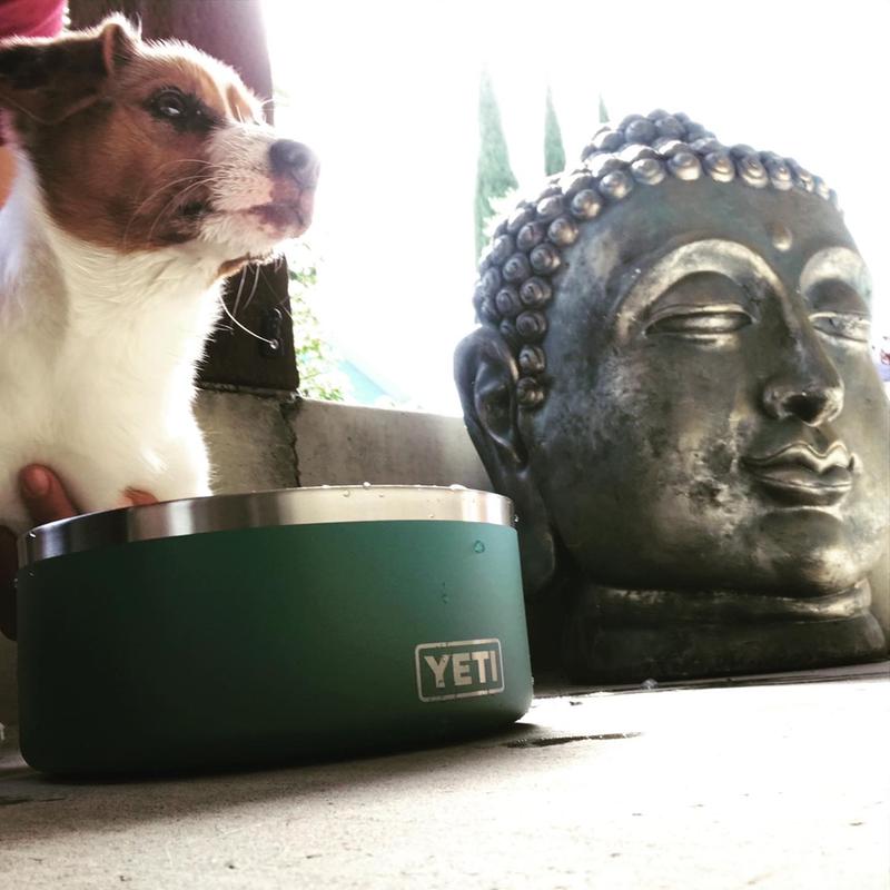 YETI® Dog Bowl in Stock - ULINE