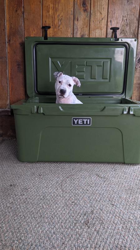 YETI Tundra 65 Cooler Highlands Olive Green NEW IN SEALED BOX Never Opened