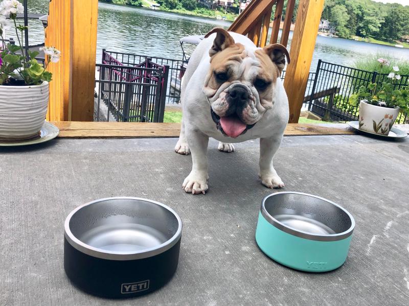 YETI Boomer 8 Large Dog Bowl