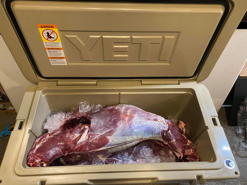 75 qt deals cooler yeti