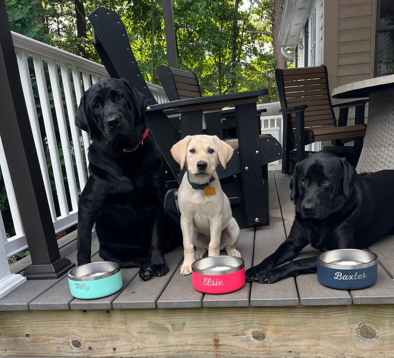 YETI Boomer Dog Bowl - 4 Cups - Ice Pink - TackleDirect