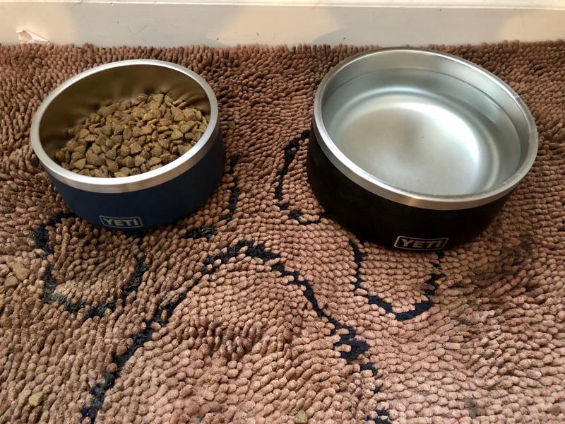 YETI® Dog Bowl in Stock - ULINE