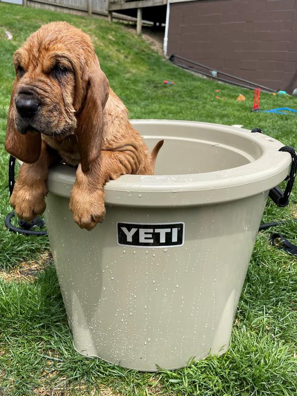 YETI TANK® Insulated Ice Bucket — Live To BBQ