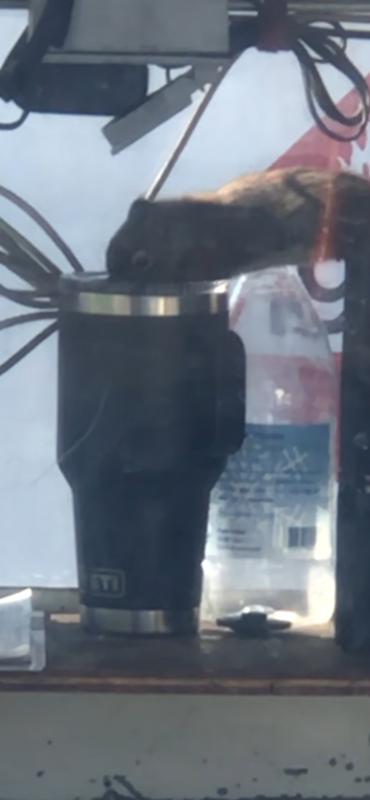 Photo submitted with review of product
