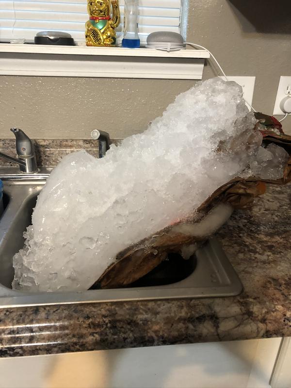 Photo submitted with review of product