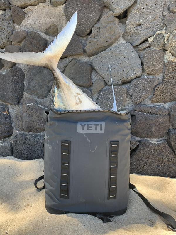 YETI Hopper BackFlip 24 Insulated Backpack Cooler, Aquifer Blue in the  Portable Coolers department at