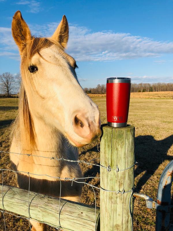 YETI MagSlider Lid  The Cheshire Horse