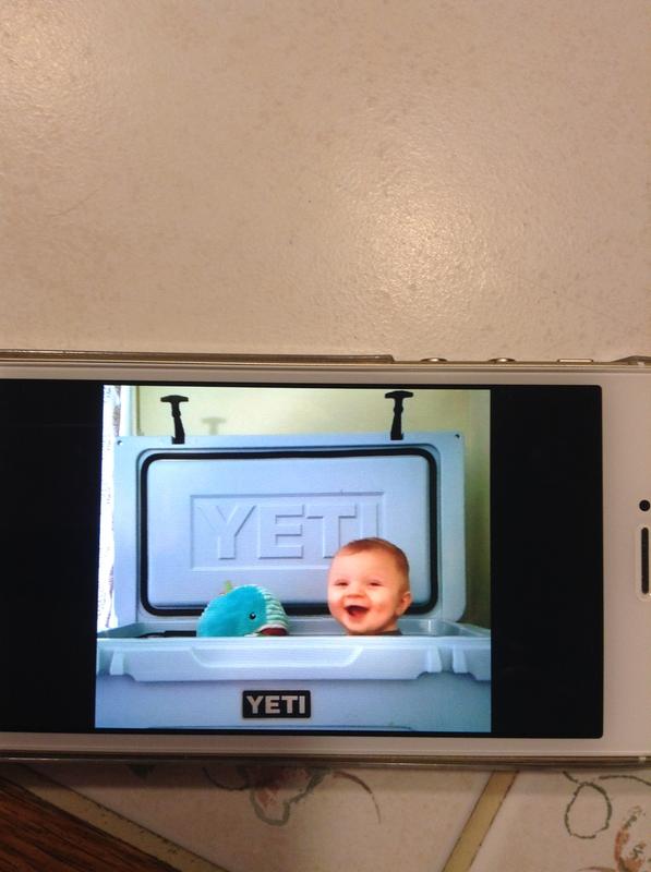 Photo submitted with review of product