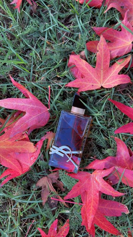 My favorite perfume❤️❤️❤️