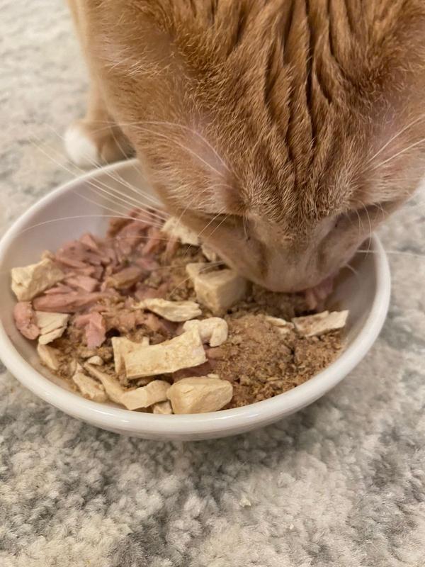 Yummers Elk Digestive Probiotic Cat Food Topper 4 oz