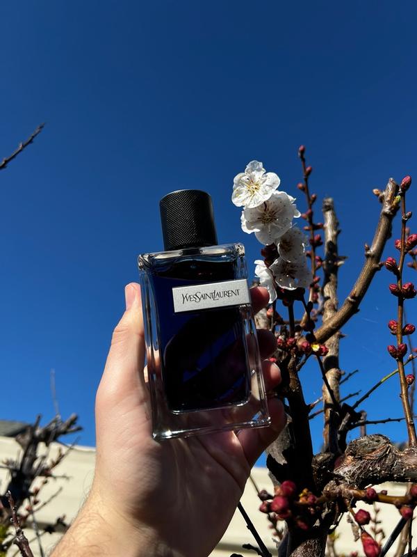 Review Thumbnail Image 1 248997506