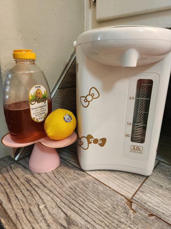 $10 zojirushi water boiler = elite hot cocoa station : r