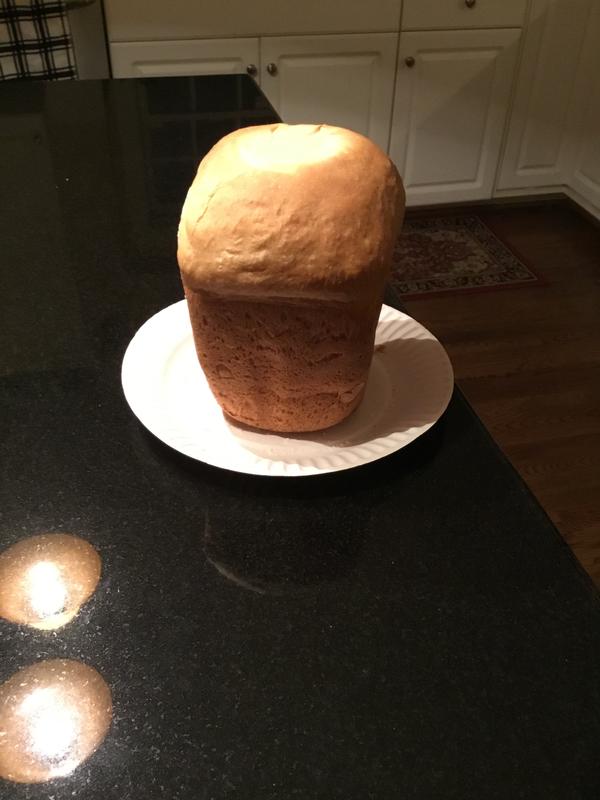 Zojirushi Home Baker Mini Bread Maker Bed Bath and Beyond Canada