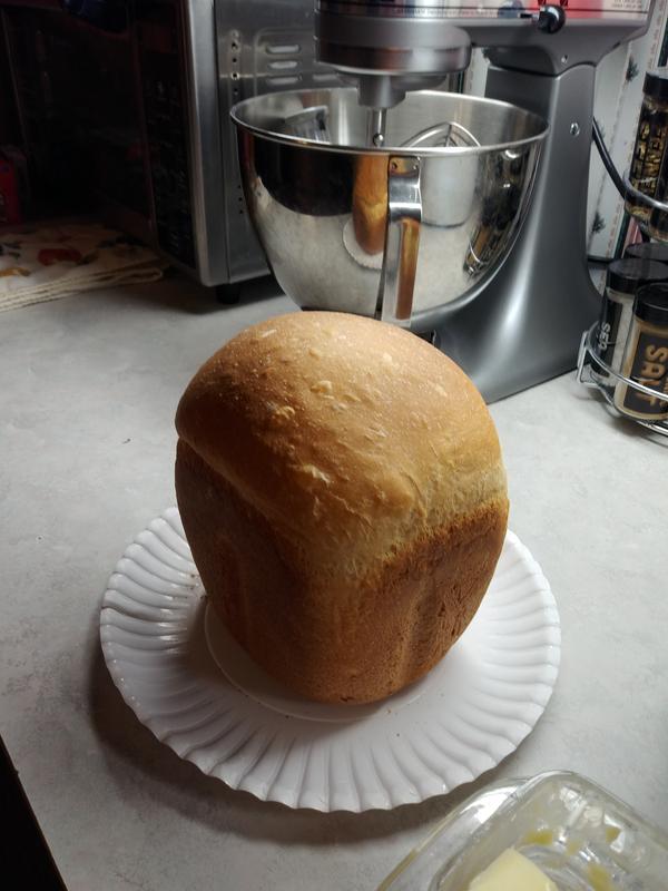  Zojirushi BB-HAC10 Home Bakery 1-Pound-Loaf Programmable Mini  Breadmaker, White: Bread Machines: Home & Kitchen
