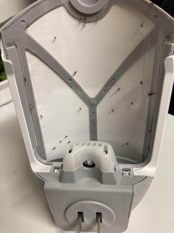 Hot Tip Zevo UV Light Traps Decimate Adult Fungus Gnats!, 57 OFF