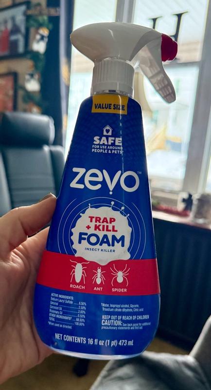 Zevo Foam Trap and Kill Insect Killer 12 -fl oz Trigger spray Home pest ...