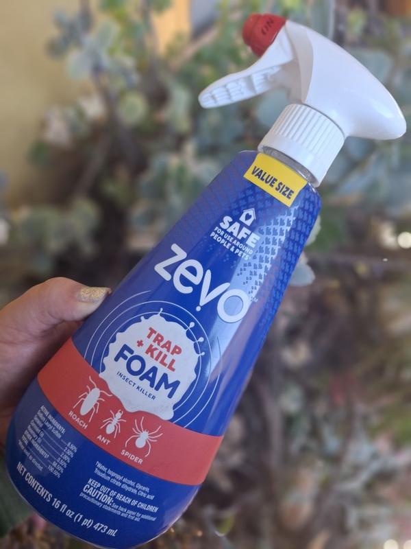 Zevo Foam Trap and Kill Insect Killer 12 -fl oz Trigger spray Home pest ...
