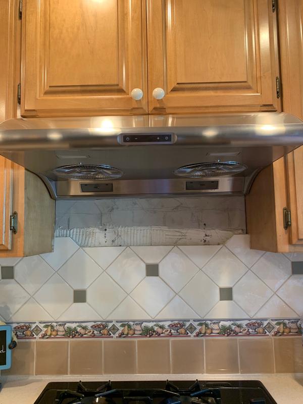 Zephyr Typhoon Under Range Hood Matttroy