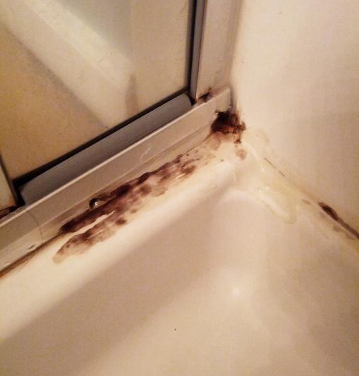 Shower area BEFORE using Zep Mold Stain & Mildew Stain Remover