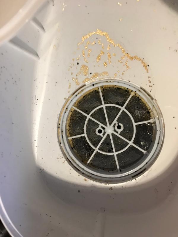 stuff that came out of our filter
