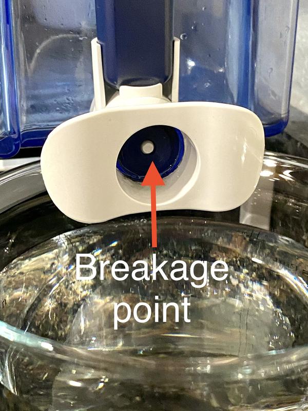 Button breaks off the sprout every two years!