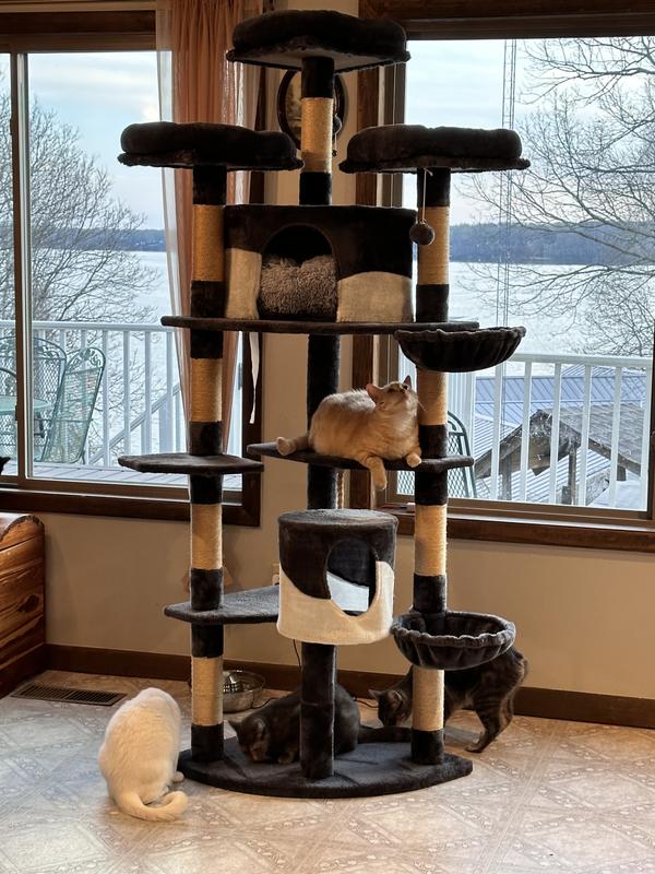 Cats spray tree , I don’t have to throw away cause this product made it odor free