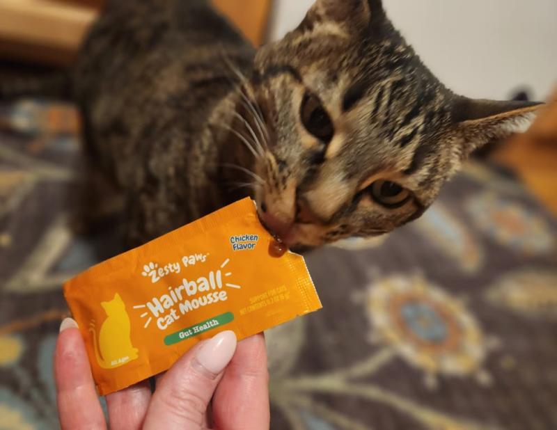 Kitty and Owner Approved