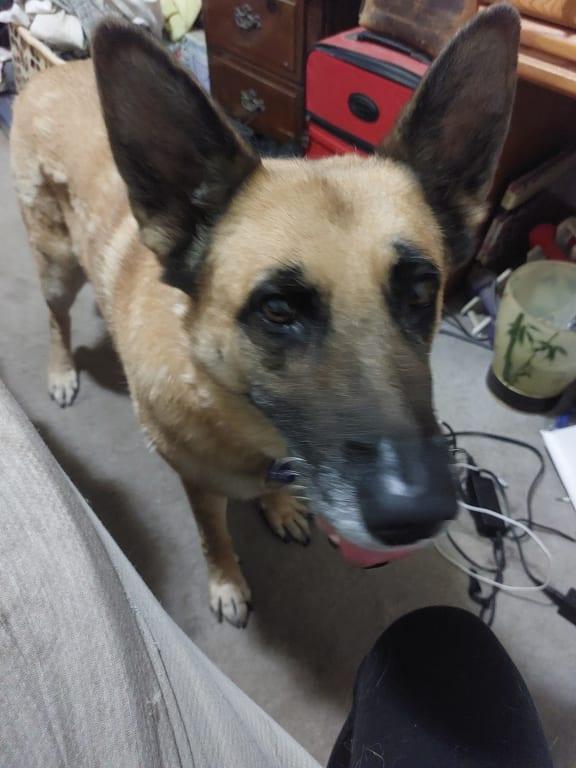 She wants her "treat"