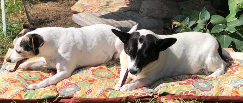 Enjoying the weather.