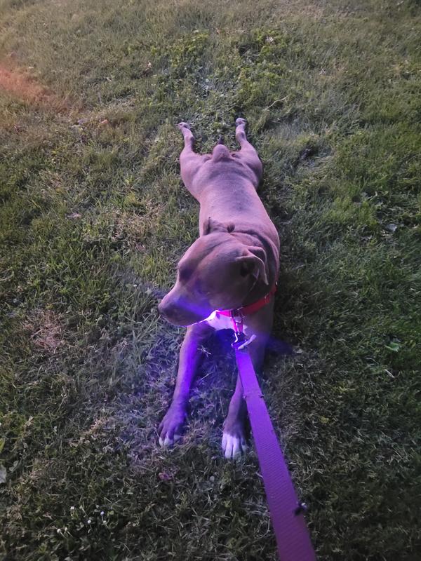 Review photo 6.