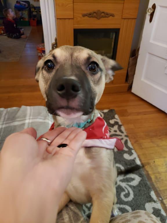 Please mom can I have more?