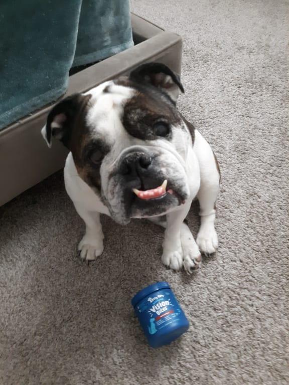 I love my zesty paws