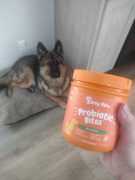 Zesty Paws Pumpkin Probiotic Bites Soft Chews for Dogs, oz