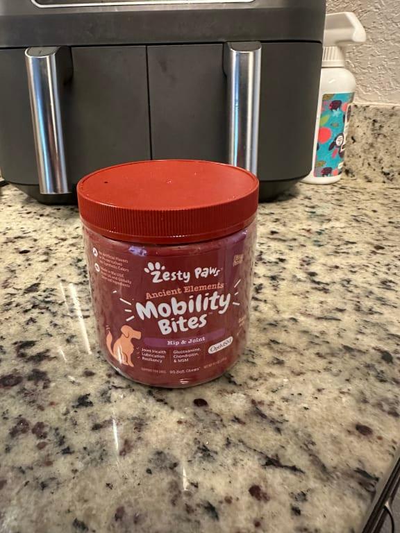 Perfect for aging pups