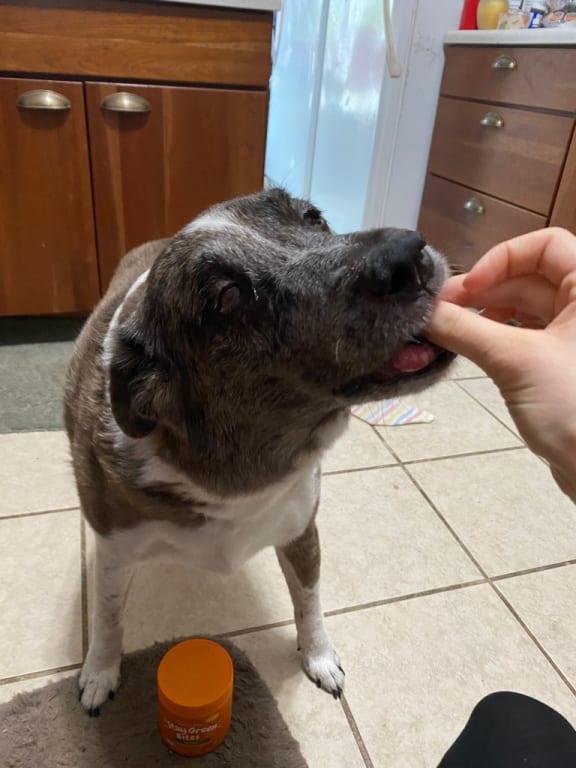 Give me please!