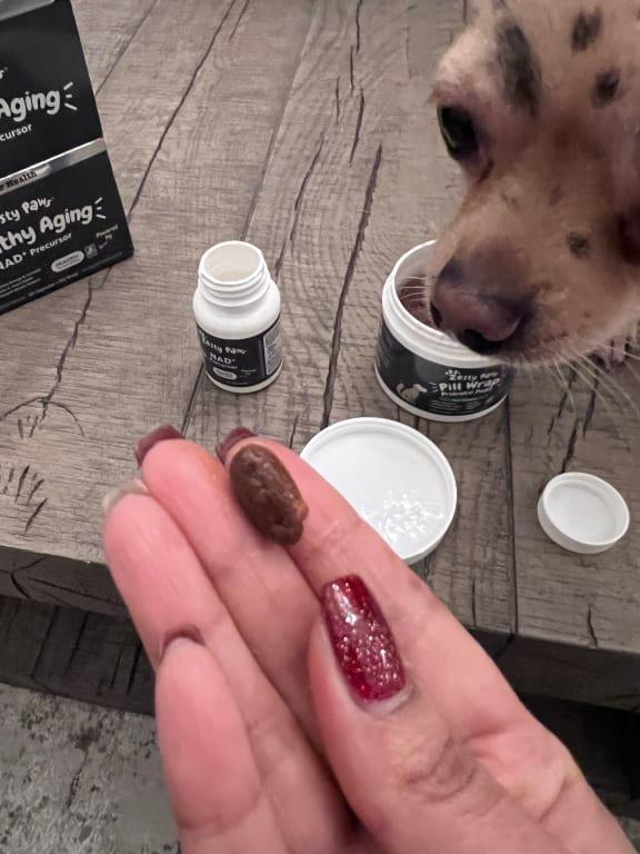 Anti Aging Dog Pill: Ultimate Solution for Your Pet’s Youthful Glow