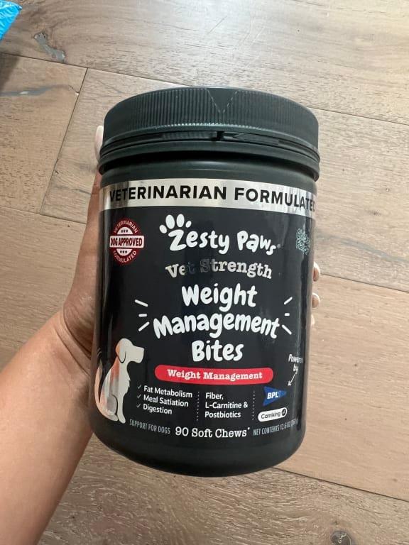 l carnitine fumarate reviews Cardio Care Tablets For Pets-Aniamor- L-Carnitine, L-Leucine Tablets- 60  Tablets at  85/bottle | Pet Supplement in Greater Noida